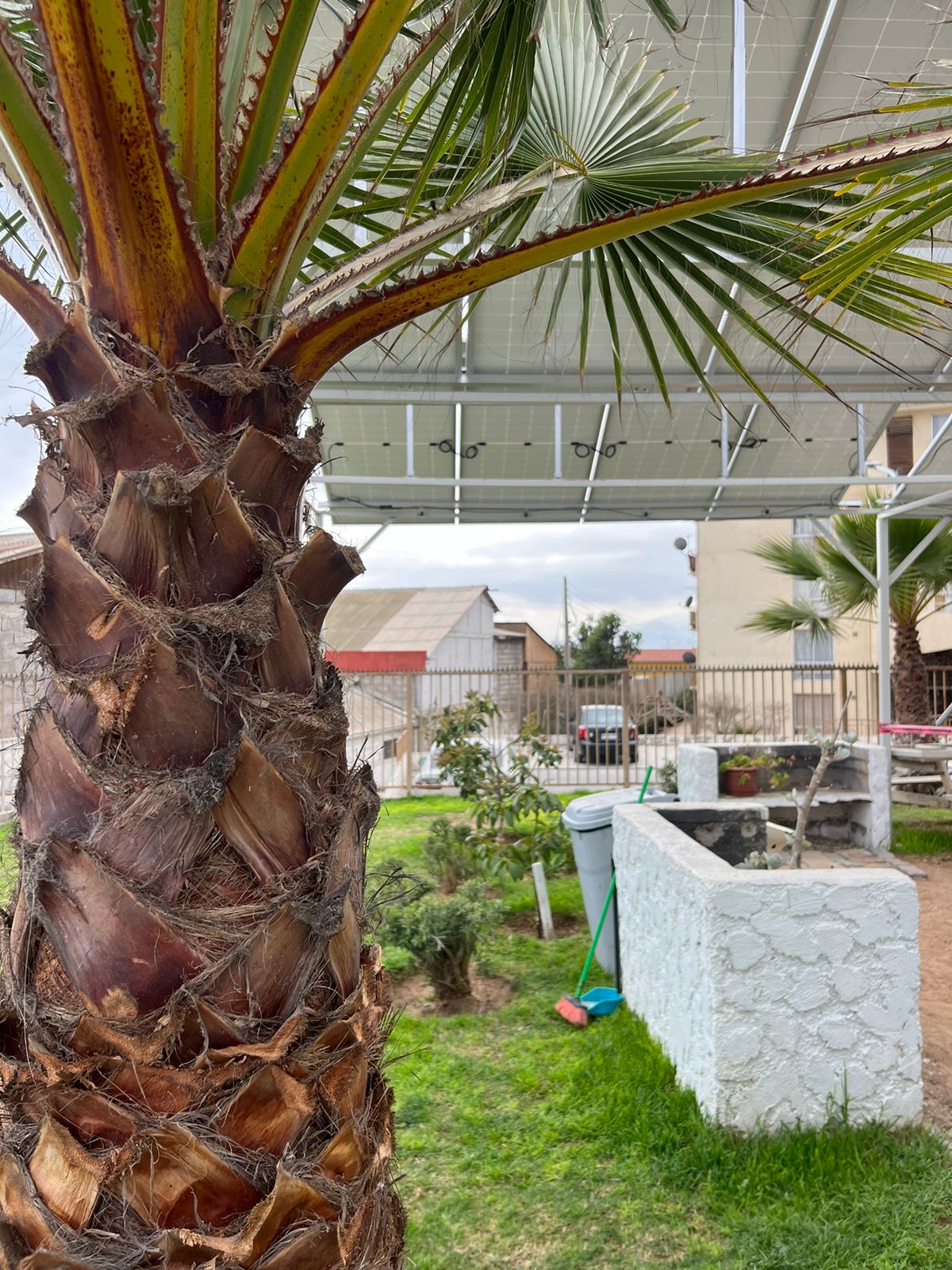 Departamento SB Blanca Estela / COQUIMBO