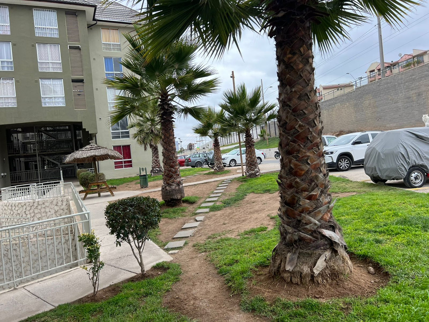 Departamento SB Blanca Estela / COQUIMBO